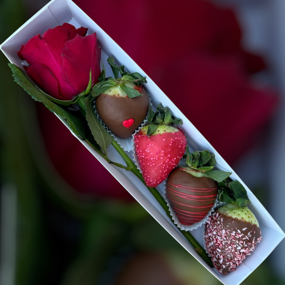 Veľkosť M od 9€ kategória